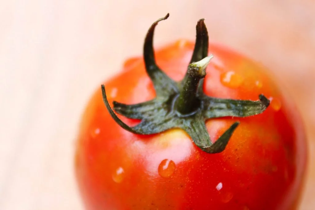 tomate